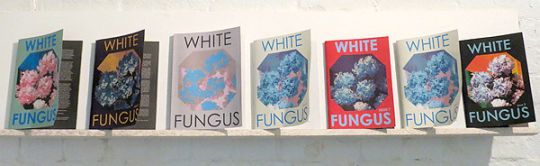 White Fungus