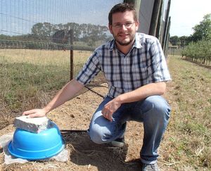 David Pattemore with an artificial bumblebee nest