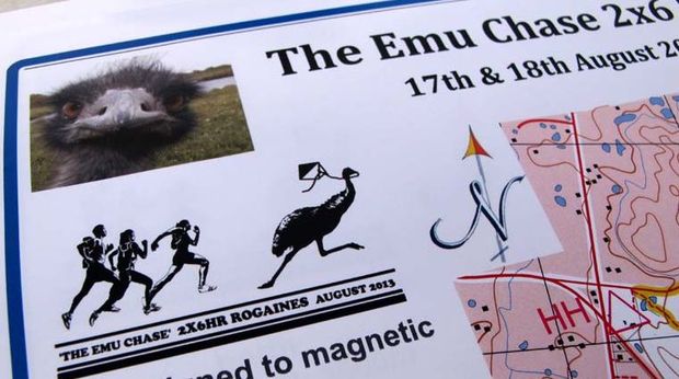 Emu chase.