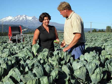 Brussels sprouts growers Bruce and Steph Rollinson.