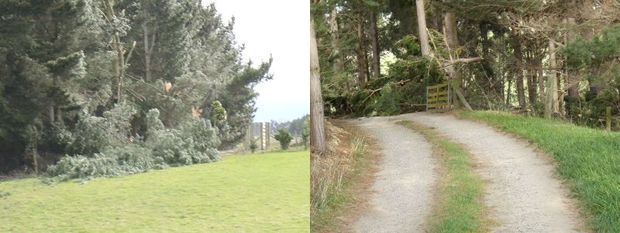 Trapped by wind damage