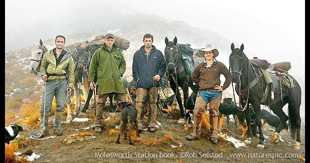 Molesworth Station autumn muster team