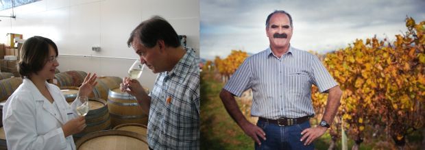 Wine tasting, and Darryl Woolley in a vineyard