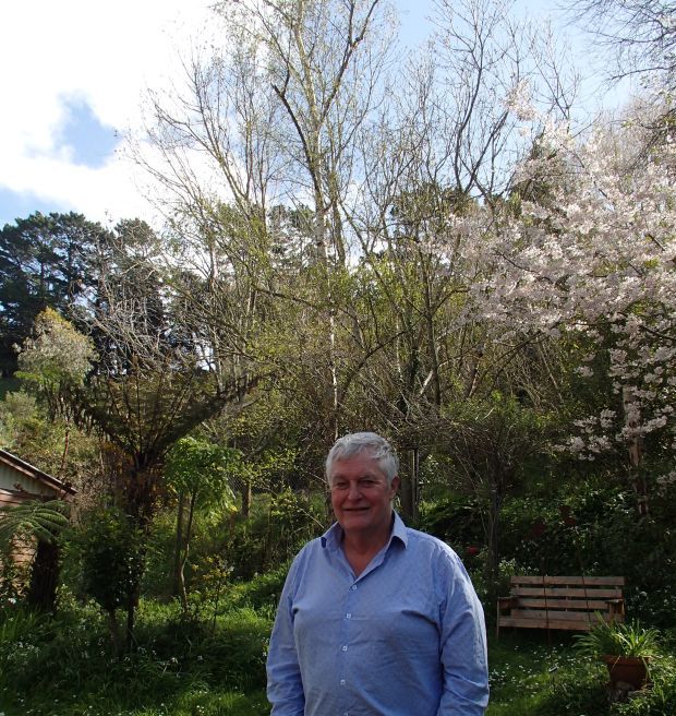 David Fountain in front of birch and ash trees shedding pollen in spring