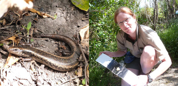 Spotted skink and Emma Dunning