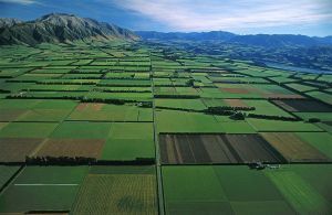 Canterbury Plains