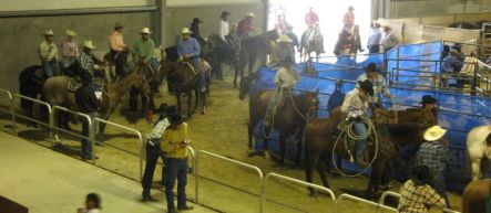 Lining up at the Manfeild-Feilding Rodeo