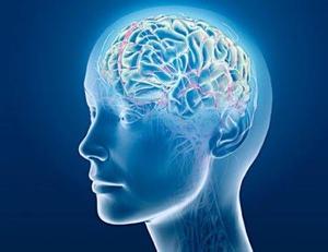 Brain creative commons