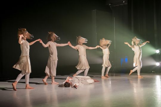 Footnote COLT Horses