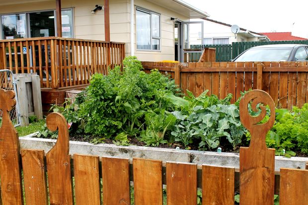 Rata Vine community vegetable garden