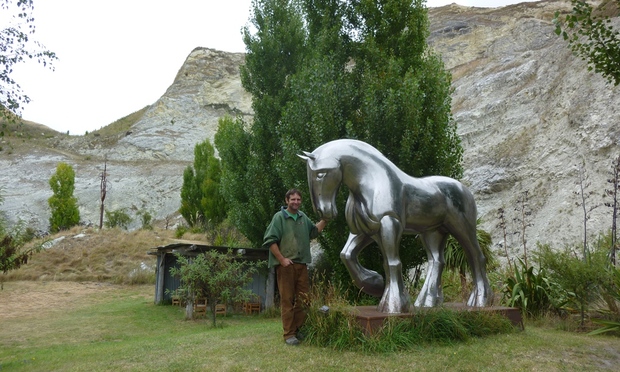 Ramond horse web