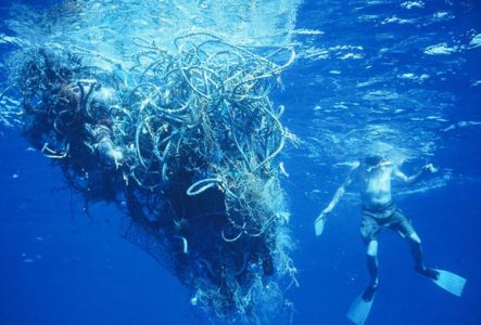 A large entanglement of debris found off the coast of Hawaii in 2002.
