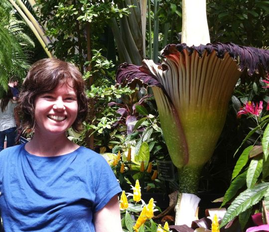 Bec Stanley and the titan arum