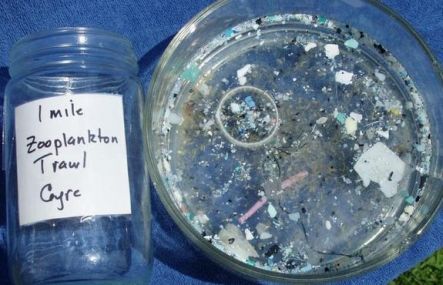 1 mile trawl sample of plastic debris of the North Pacific Gyre in 2005