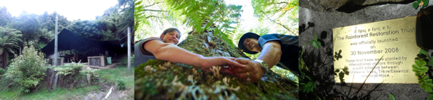 Te Urewera Treks, Nga Putahi Bush Camp, Joanna and Joe Doherty, Kohatu featuring Dedication 