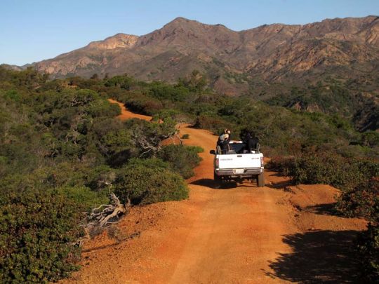 Red-dirt road heading west on Santa Cruz Island