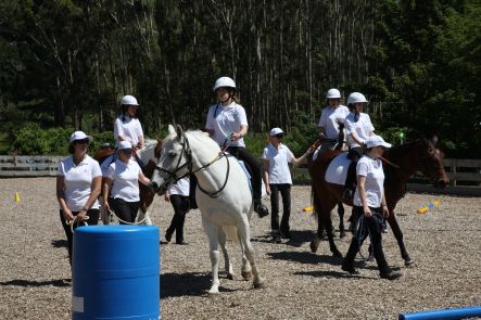 Open Day at the Wellington branch of Riding for the Disabled