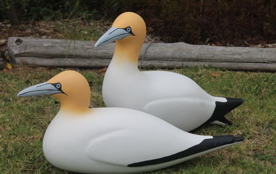 Decoy gannet birds