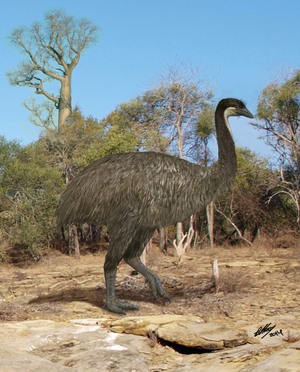 Elephant bird 