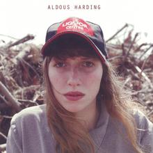 aldous harding