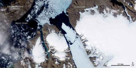 NASA satellite image showing a 280km2 ice island which has broken off the Petermann Glacier in Greenland.