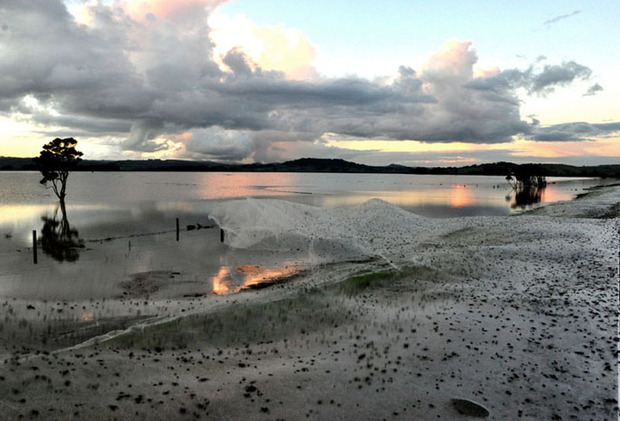 VickiPedersen Hikurangi swamp