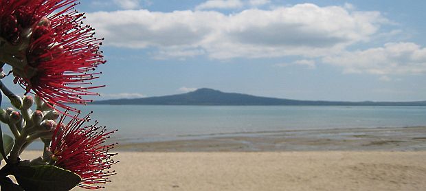 Rangitoto Island photo by Lisa Thompson