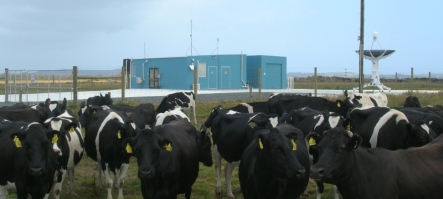 Awarua station.