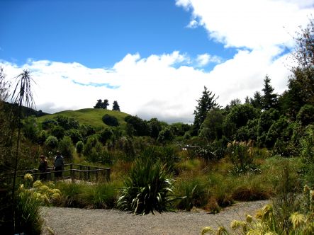 Pukaha Mount Bruce Wildlife Centre 