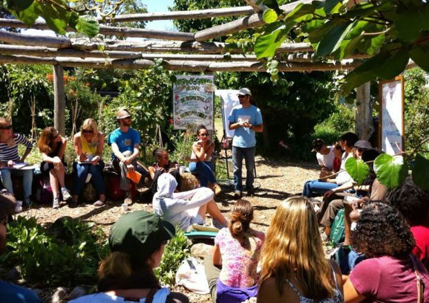 edible schoolyard 