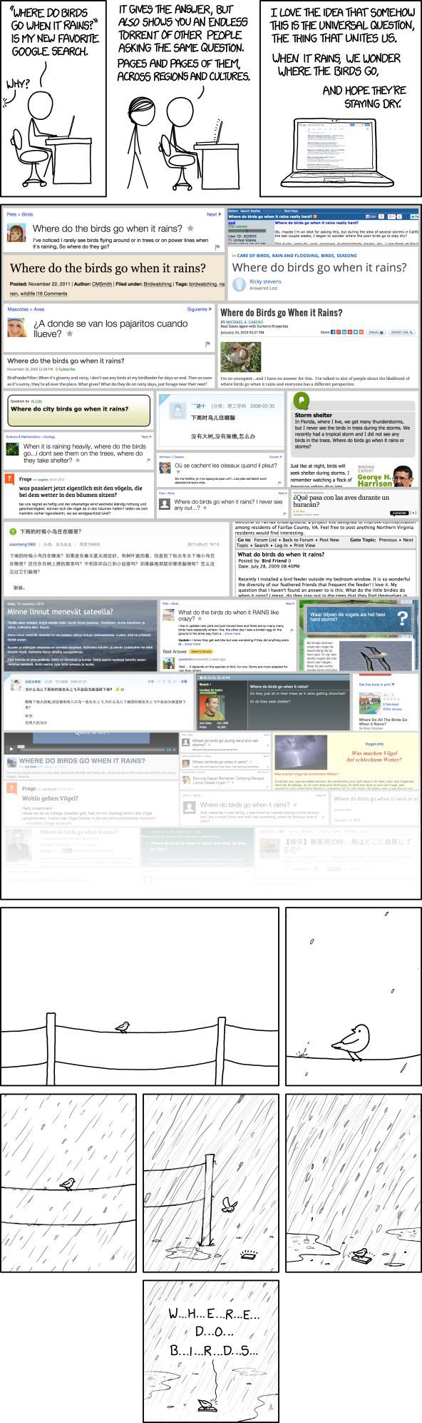 xkcd where do birds go
