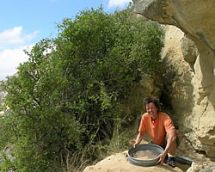 Janet Wilmshurst sieving sediment.
