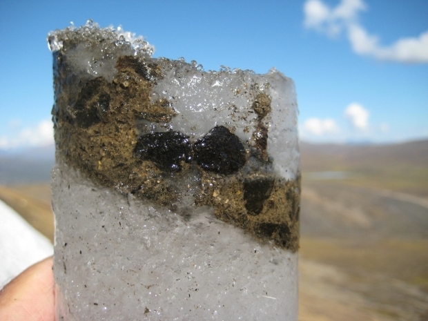 Frozen Canadian caribou dropping