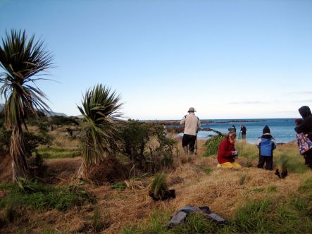 Places for Penguins first community restoration day at Tarakena Bay on the Miramar Peninsula.