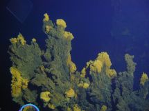 The remains of hydrothermal vent chimneys that are no longer active.