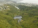 Upper catchment of Kaiwharawhara.