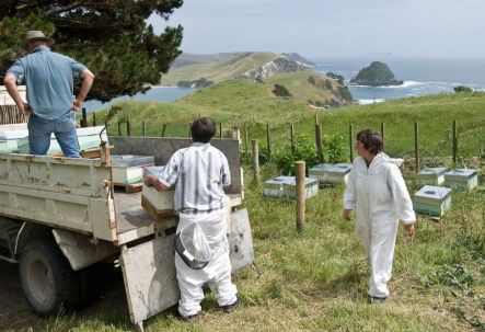 Placing hives