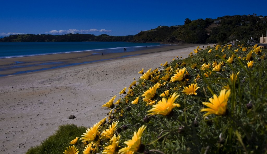 Onetangi beach