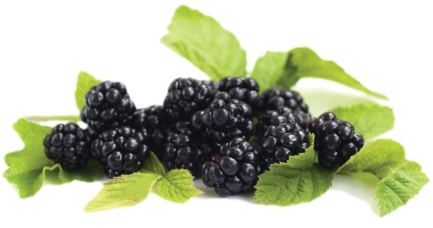 Blackberries