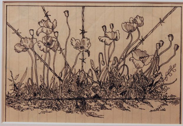 (Poppies) Flower Arrangement with Barbed Wire by Jock Fraser