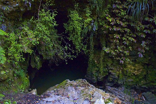 C is for Caves A cave entrance in the Waitomo area CC BY James Shook