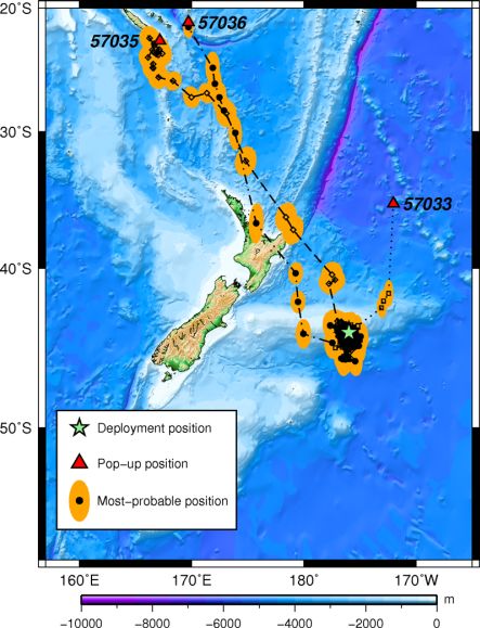 Map showing routes travelled by three great white sharks.