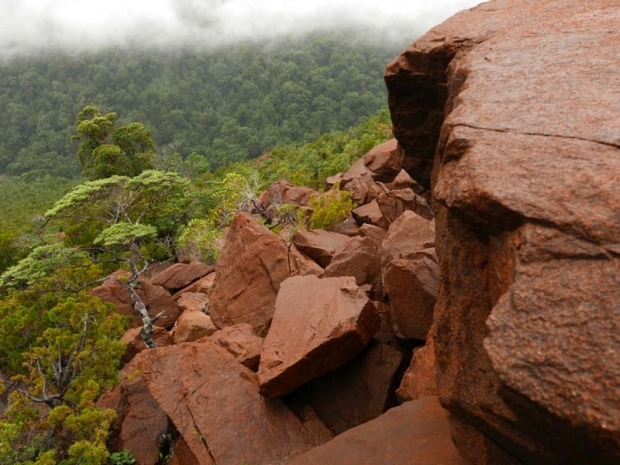 The Olivine Wilderness Area