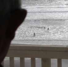 Port Waikato keeping an eye on business