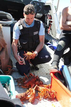 Inspecting crayfish size CO Shay Lalich