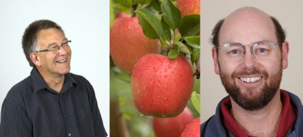Daryl Rowan, some apples, and Martin Hunt