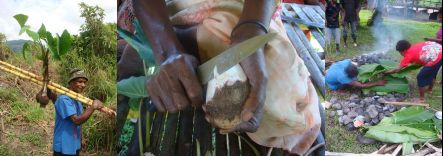 Farmer carrying taro and sugarcane, taro being peeled, and a ground oven