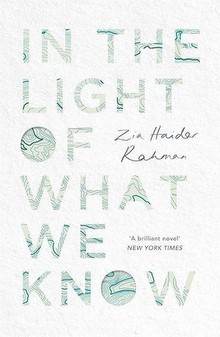 In the Light of What We Know by Zia Haider Rahman