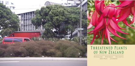 rare plants planted in Wellington traffic island, and cover of Threatened Plants book