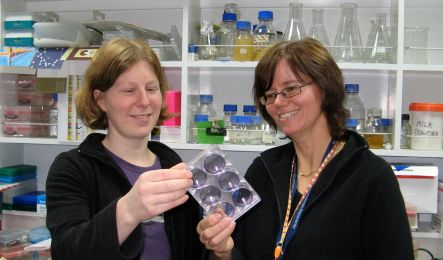 Gabi Dachs and Michelle Hunt